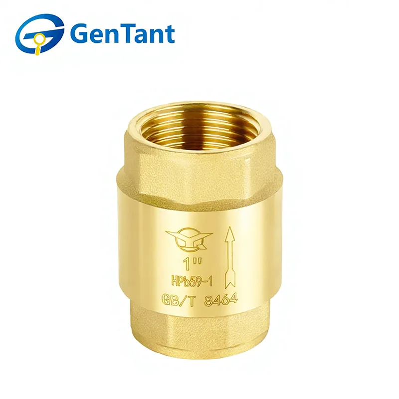 Federrückschlagventil